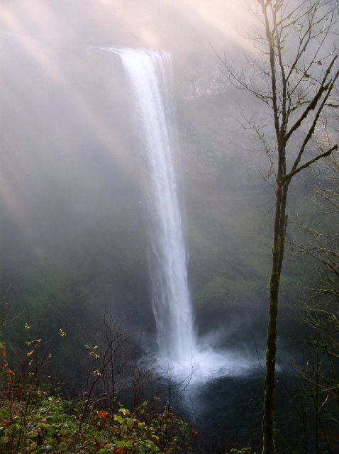 Silver Falls 12.10.05 007 